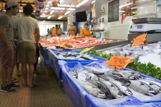 Fresh fish at the market stall