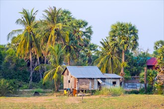 Wooden hut and palm trees on the bank of the Stung Sen River