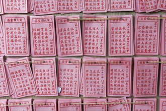 Pink Horoscope paper with Chinese writing