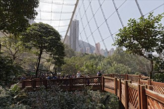 Walk-in Aviary Hong Kong Park