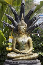 Naga Buddha statue with snakes