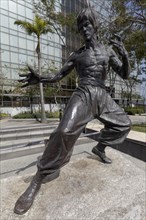Bruce Lee in kung fu pose