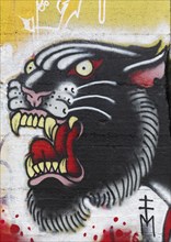 Panther with mouth open
