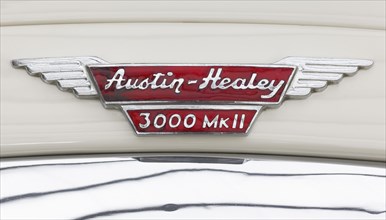 Austin Healey emblem on a Model 3000 MK 1962