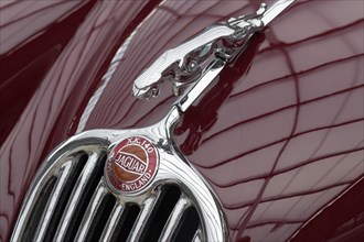 Emblem and mascot figurine on Jaguar XK140