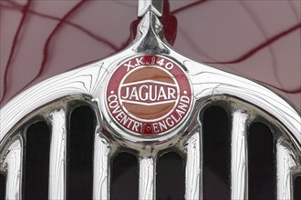 Emblem on Jaguar XK140 radiator grill