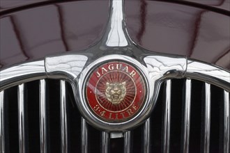 Emblem on radiator grill of 4 liter Jaguar 3