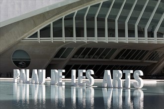 Lettering Palau de Les Arts