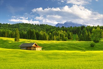 green meadow with cottage