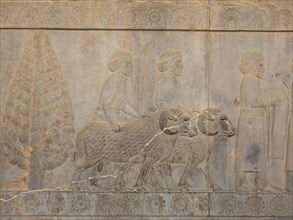 Ancient relief of the Achaemenids