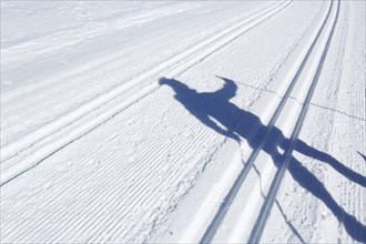 Shadow of a cross-country skier on a cross-country track