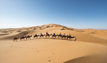 Caravan with dromedaries (Camelus dromedarius)