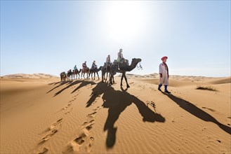 Caravan with Dromedary (Camelus dromedarius)