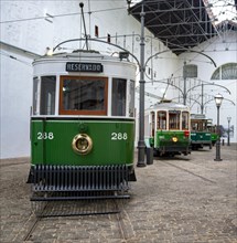 Green historic trams