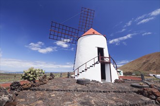 Windmill in Cactus Garden Jardin de Cactus by Cesar Manrique