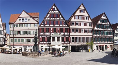 Well and timbered houses