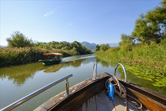 Excursion boats on Lake Skadar