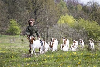 Young man running with herd of goats