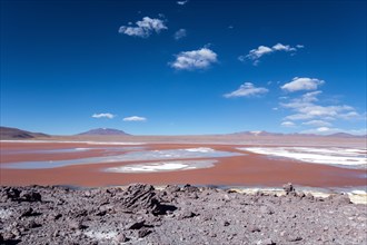 Laguna Colorada with red water due to high content of algae in Uyuni