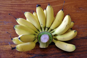 Small ripe bananas on the stem on a wooden table
