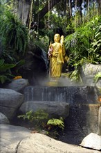 Golden Buddha figure in a small stream