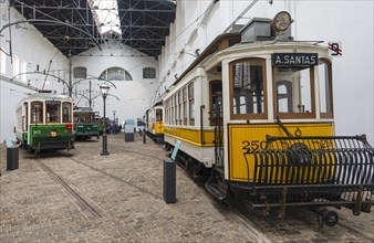 Old yellow trams