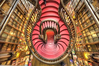 Curved wooden staircase in library