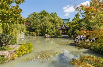 Pond with Pagoda