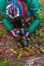 Woman photographs Fly agarics (Amanita muscaria) at the forest floor