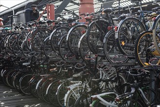Many bicycles in bicycle stands