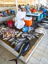 Merchant with various fish