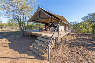 Safari camp and tent