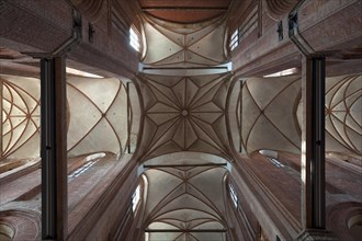 Vault of George Church