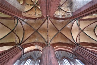 Vault in the St. Nikolai Church