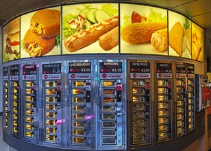 Fastfood vending machine