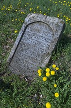 Jewish gravestone on a historical cemetery