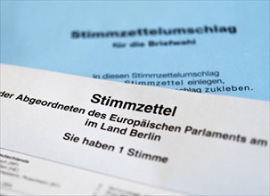 Ballot papers for the European elections 2019
