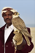 Falconer with his falcon