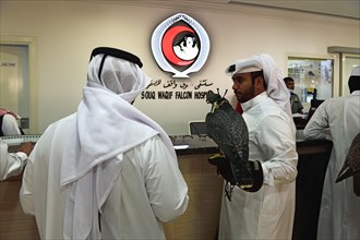 Arab with falcon in reception hall
