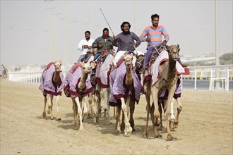 Camels with riders train in Al Shahaniya Stadium for camel races
