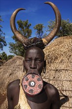 Woman with large lip plate and horns as headdress