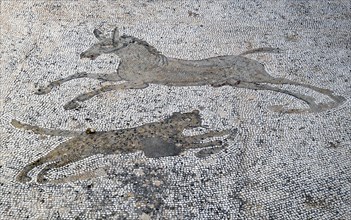 Ancient floor mosaic