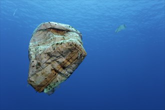 Plastic waste floating in the open sea