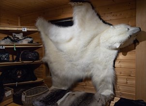 Polar bear fur