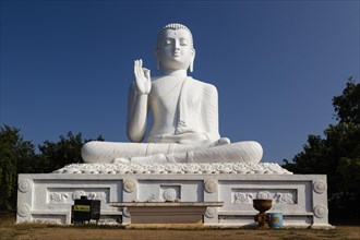 Seating Buddha