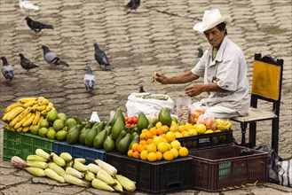 Man selling fruits and vegetables in the street