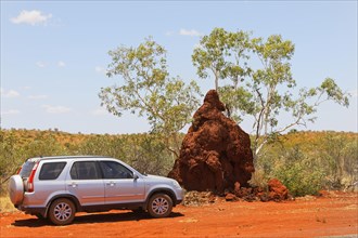 SUV motor car with and a Spinifex Termite Nest