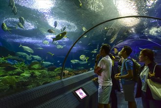 Visitors look at fish in the aquarium