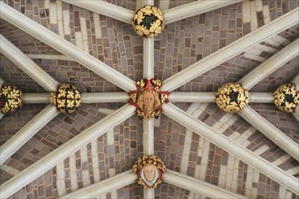 Decorated fan vaulting