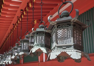 Bronze lanterns at Kasuga Taisha Shrine in Nara